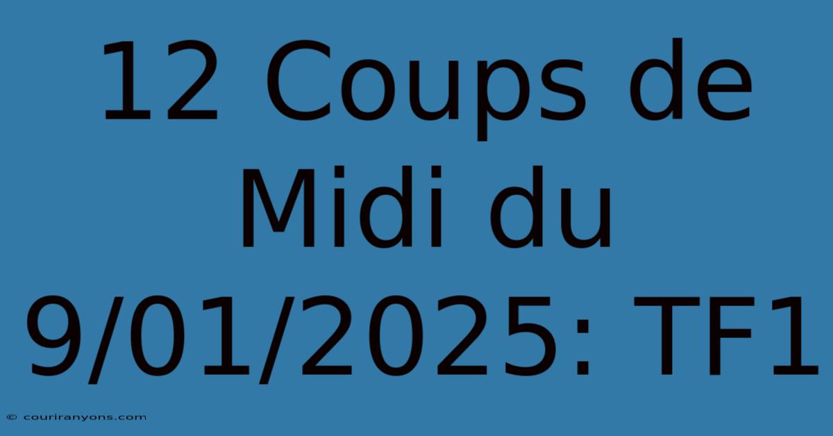 12 Coups De Midi Du 9/01/2025: TF1