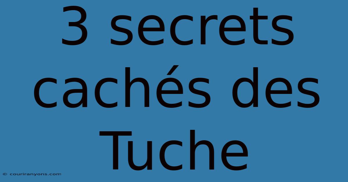 3 Secrets Cachés Des Tuche