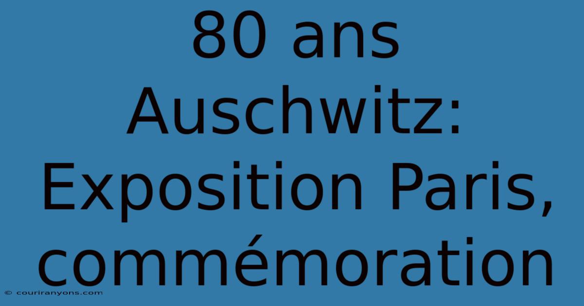 80 Ans Auschwitz: Exposition Paris, Commémoration