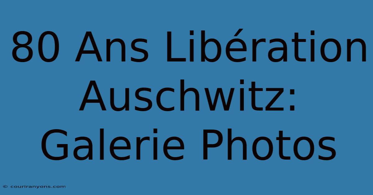 80 Ans Libération Auschwitz: Galerie Photos