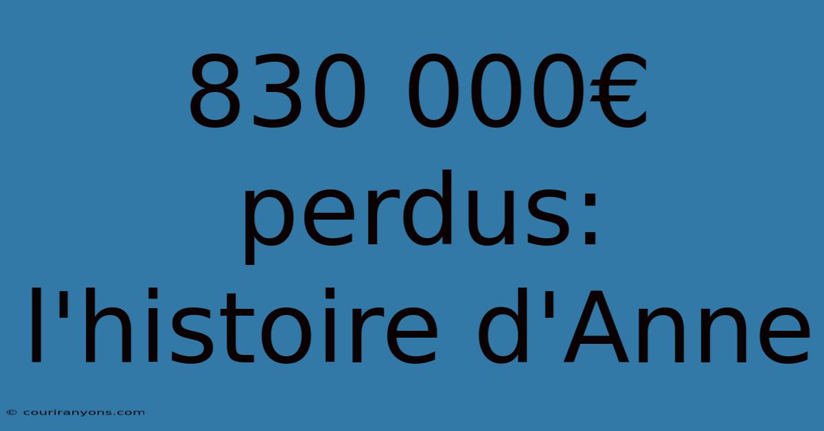 830 000€ Perdus: L'histoire D'Anne