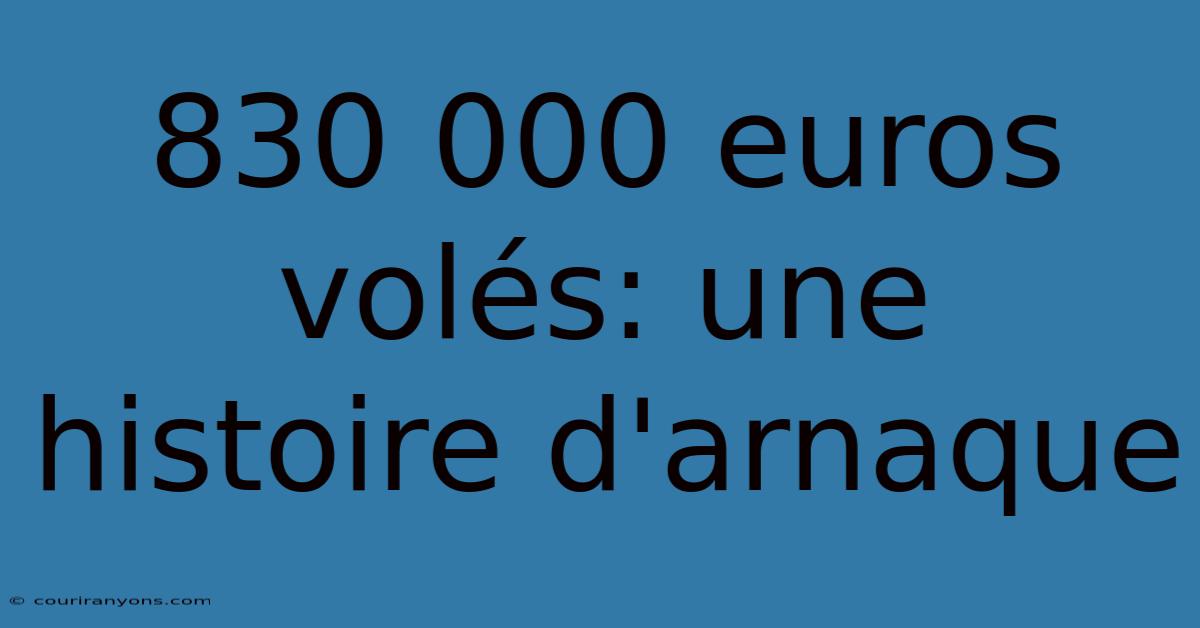 830 000 Euros Volés: Une Histoire D'arnaque