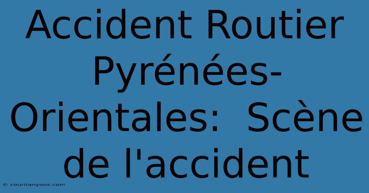 Accident Routier Pyrénées-Orientales:  Scène De L'accident