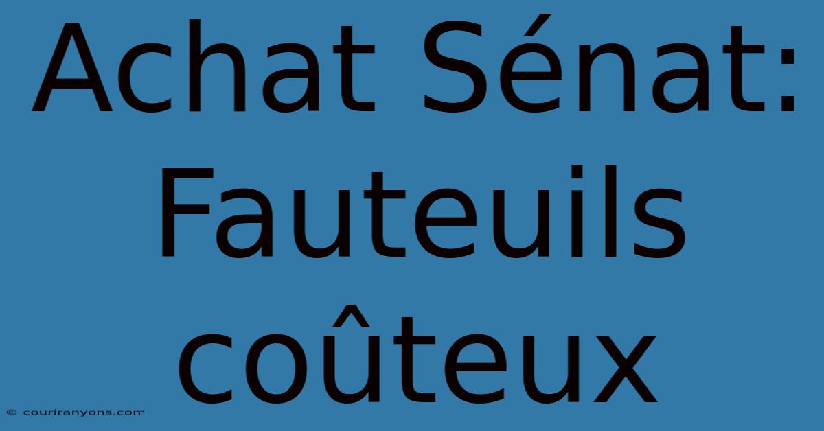 Achat Sénat: Fauteuils Coûteux