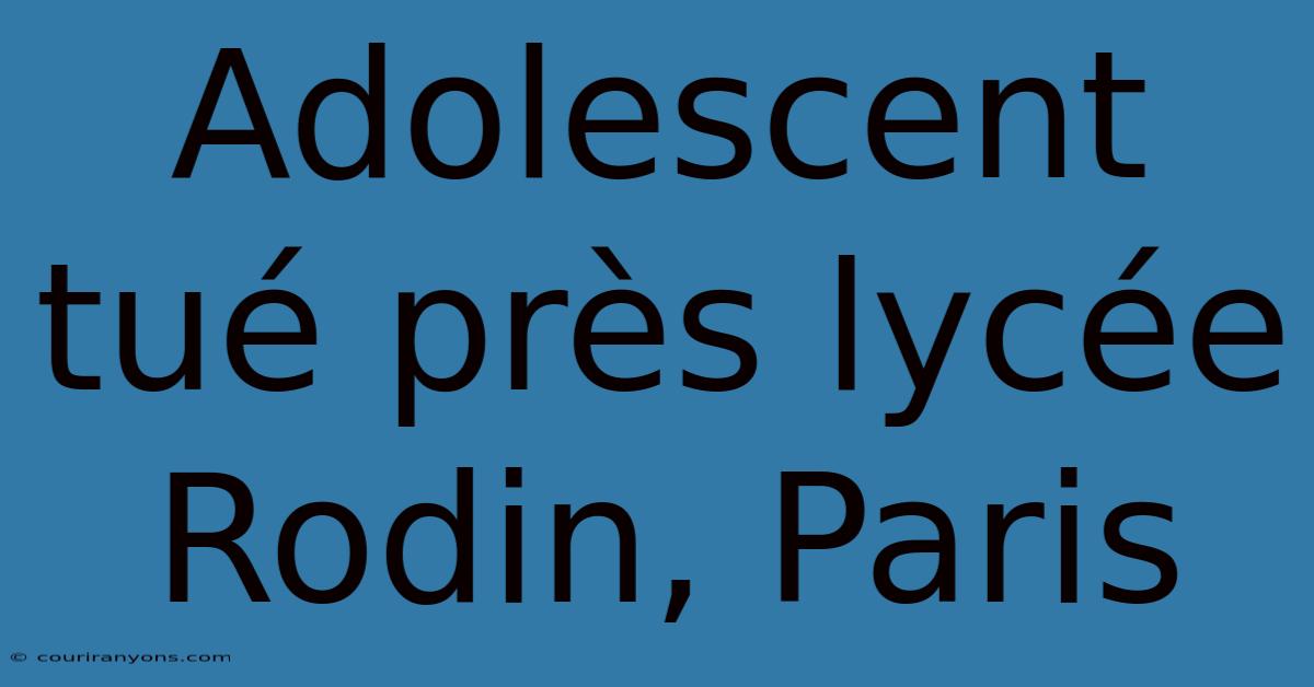 Adolescent Tué Près Lycée Rodin, Paris