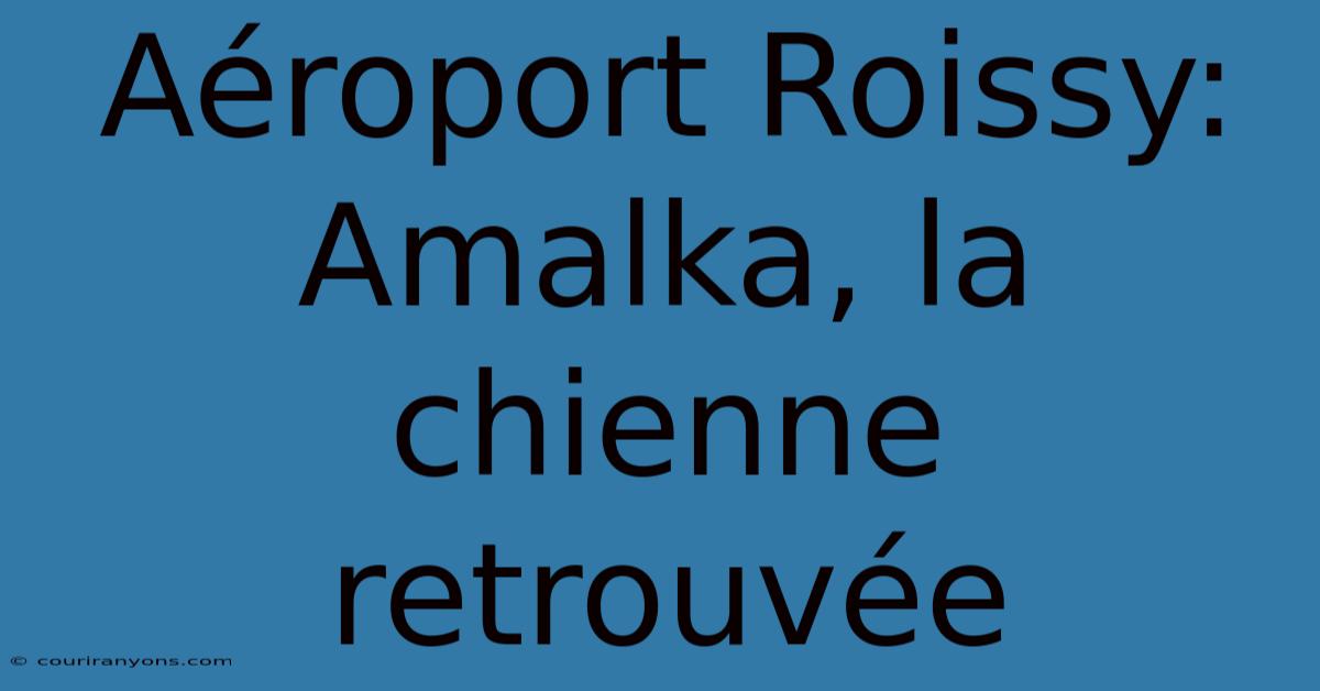 Aéroport Roissy: Amalka, La Chienne Retrouvée