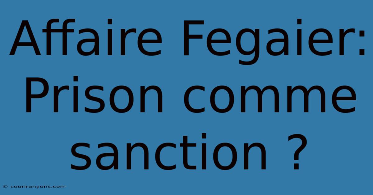 Affaire Fegaier: Prison Comme Sanction ?