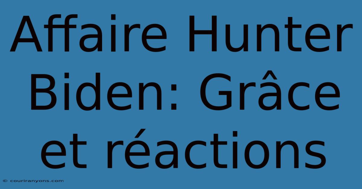 Affaire Hunter Biden: Grâce Et Réactions