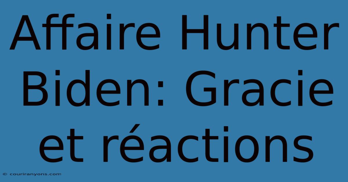 Affaire Hunter Biden: Gracie Et Réactions