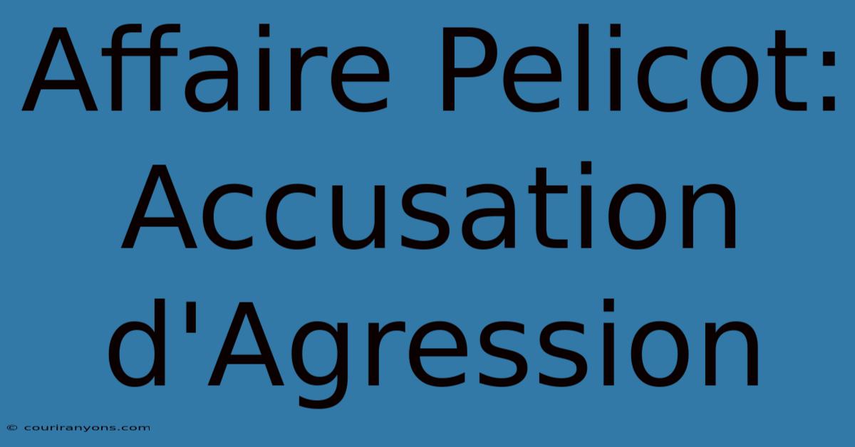 Affaire Pelicot: Accusation D'Agression