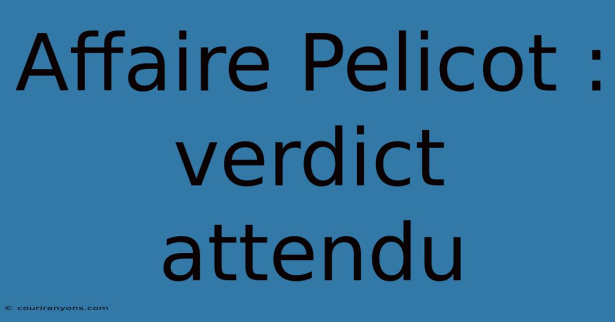 Affaire Pelicot : Verdict Attendu