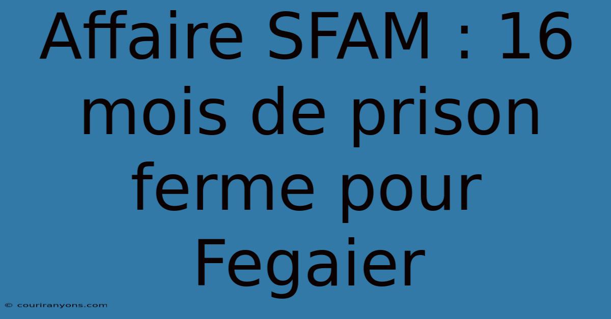 Affaire SFAM : 16 Mois De Prison Ferme Pour Fegaier