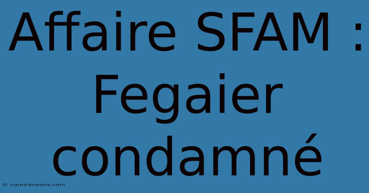 Affaire SFAM : Fegaier Condamné