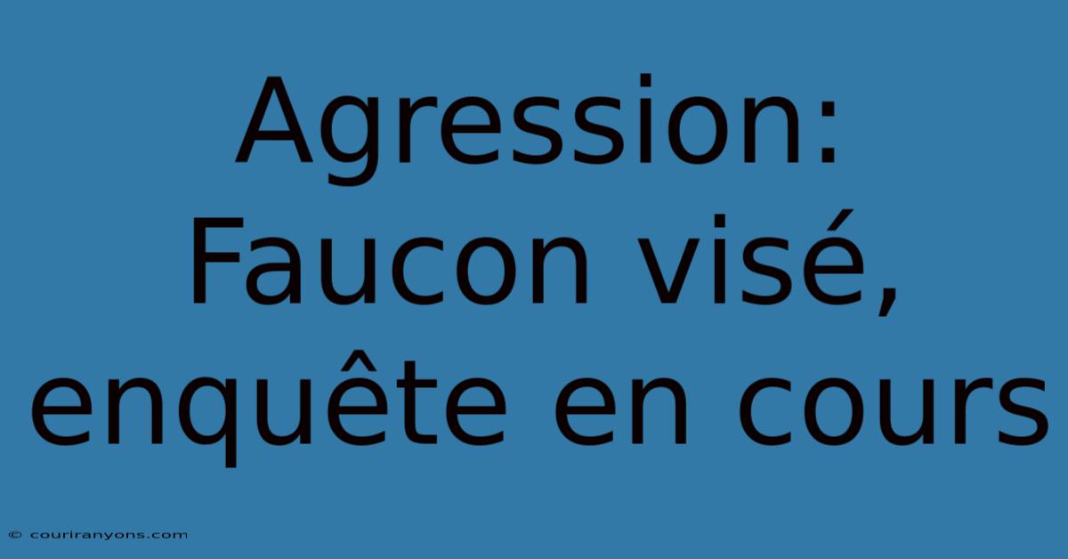 Agression: Faucon Visé, Enquête En Cours