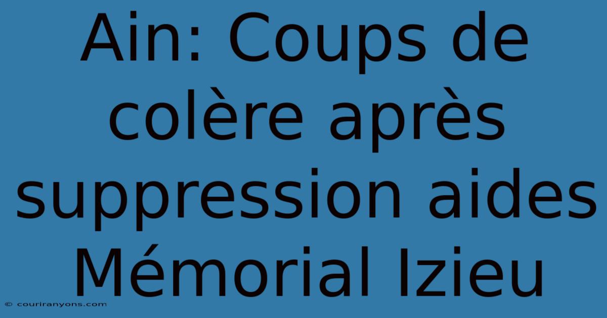 Ain: Coups De Colère Après Suppression Aides Mémorial Izieu