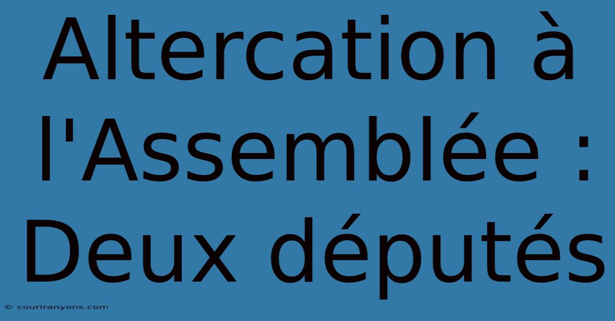 Altercation À L'Assemblée : Deux Députés