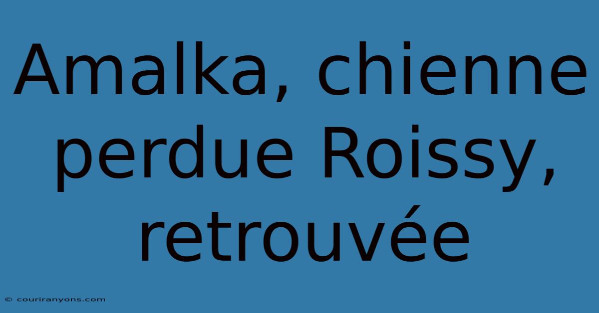 Amalka, Chienne Perdue Roissy, Retrouvée