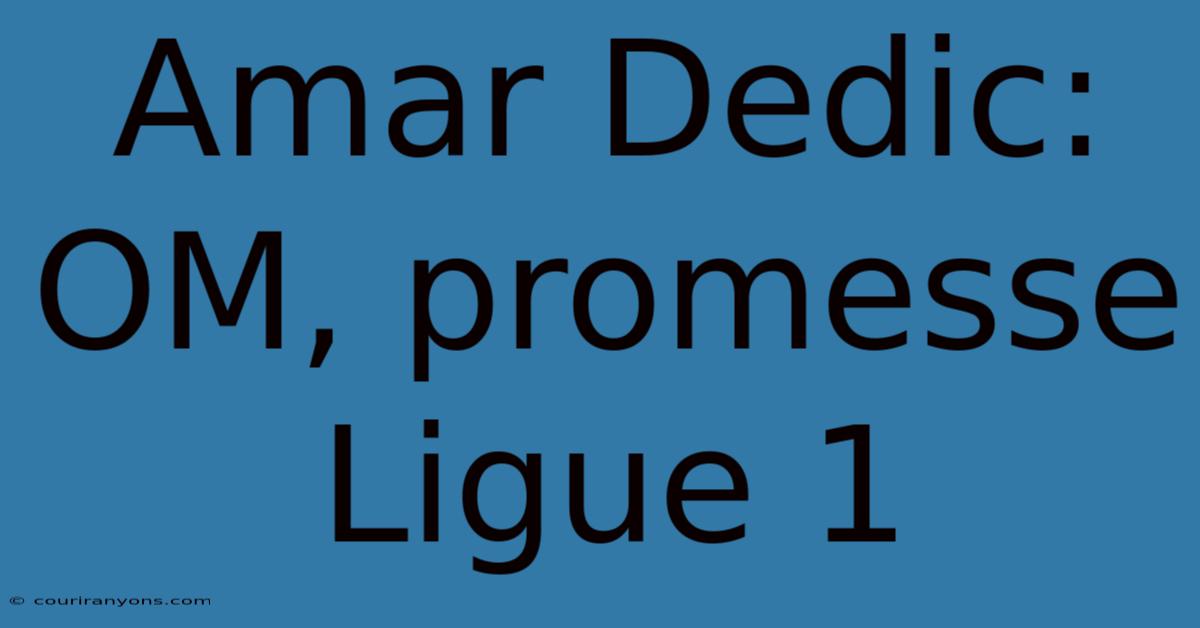 Amar Dedic:  OM, Promesse Ligue 1