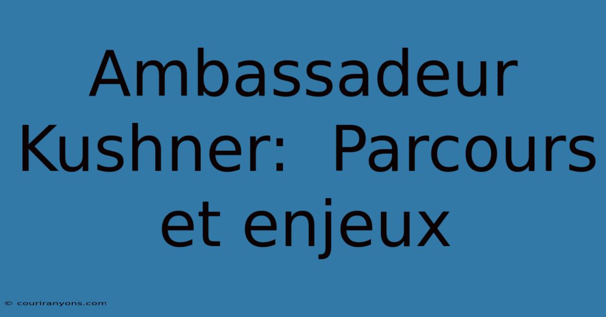 Ambassadeur Kushner:  Parcours Et Enjeux