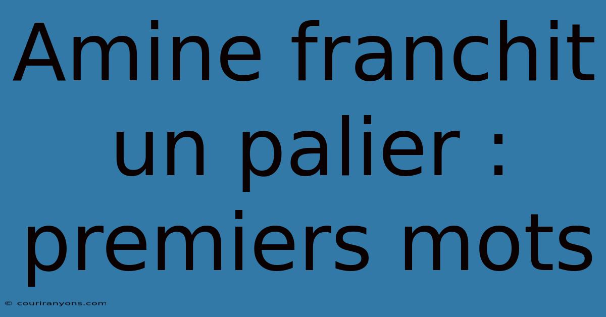 Amine Franchit Un Palier : Premiers Mots