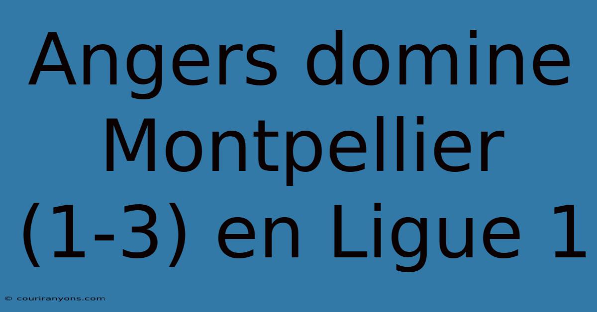 Angers Domine Montpellier (1-3) En Ligue 1