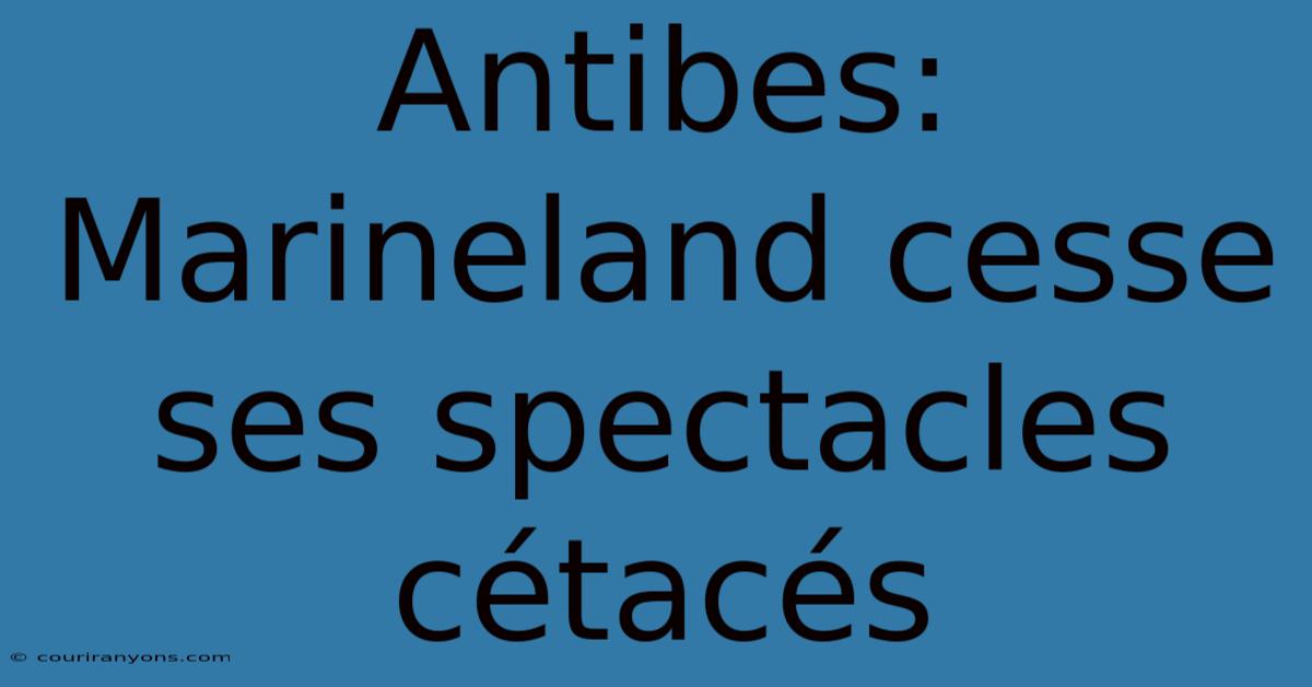 Antibes: Marineland Cesse Ses Spectacles Cétacés