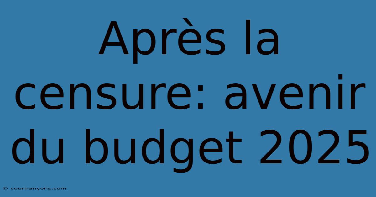 Après La Censure: Avenir Du Budget 2025