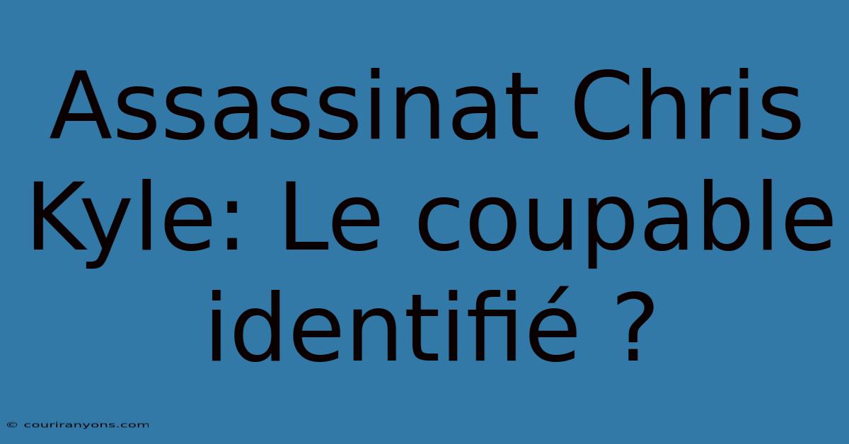 Assassinat Chris Kyle: Le Coupable Identifié ?