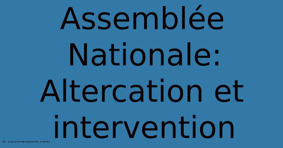 Assemblée Nationale: Altercation Et Intervention