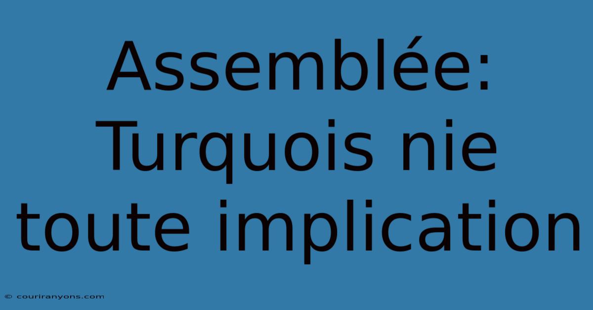 Assemblée: Turquois Nie Toute Implication