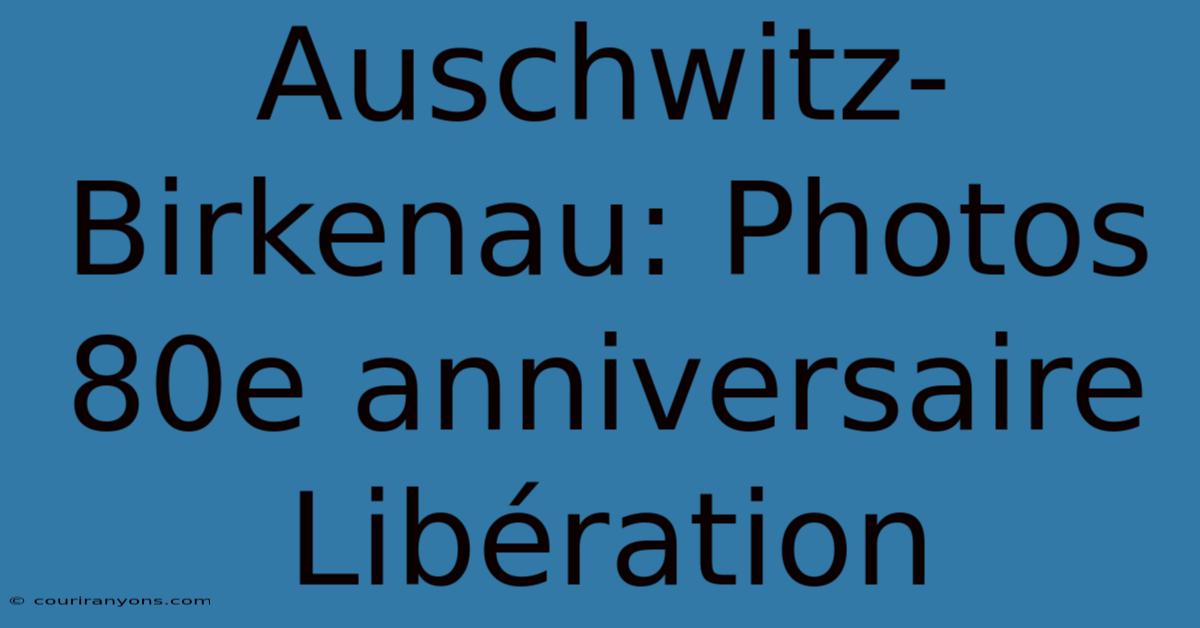 Auschwitz-Birkenau: Photos 80e Anniversaire Libération