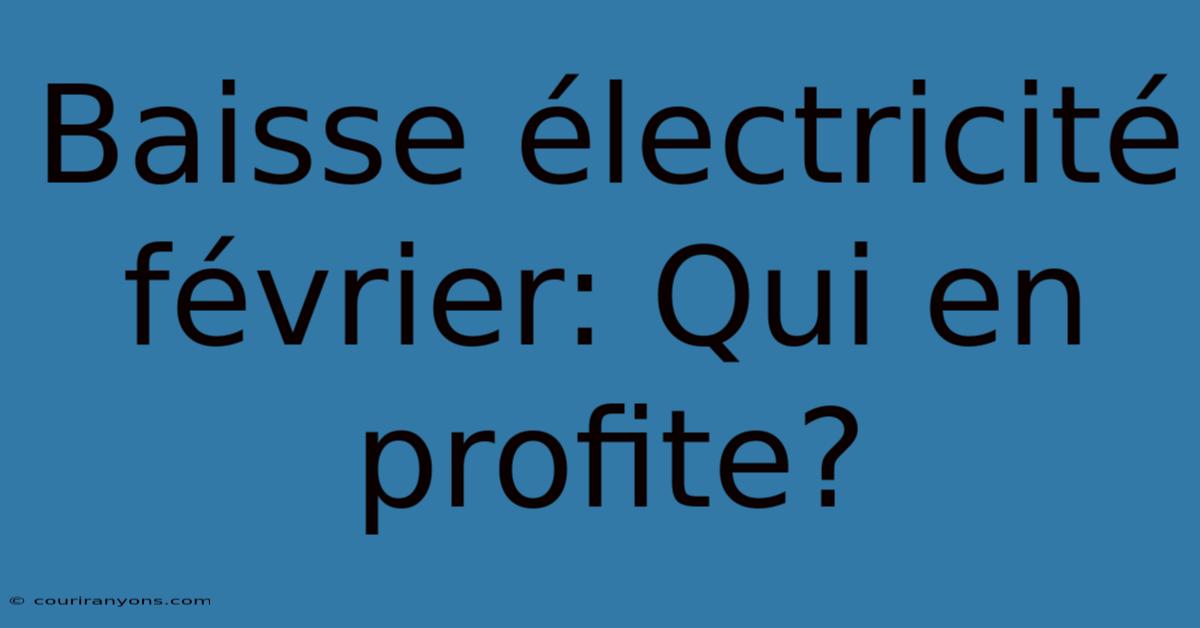 Baisse Électricité Février: Qui En Profite?