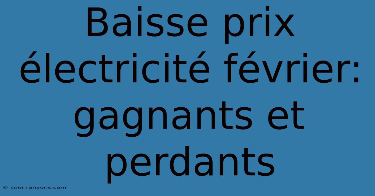 Baisse Prix Électricité Février: Gagnants Et Perdants