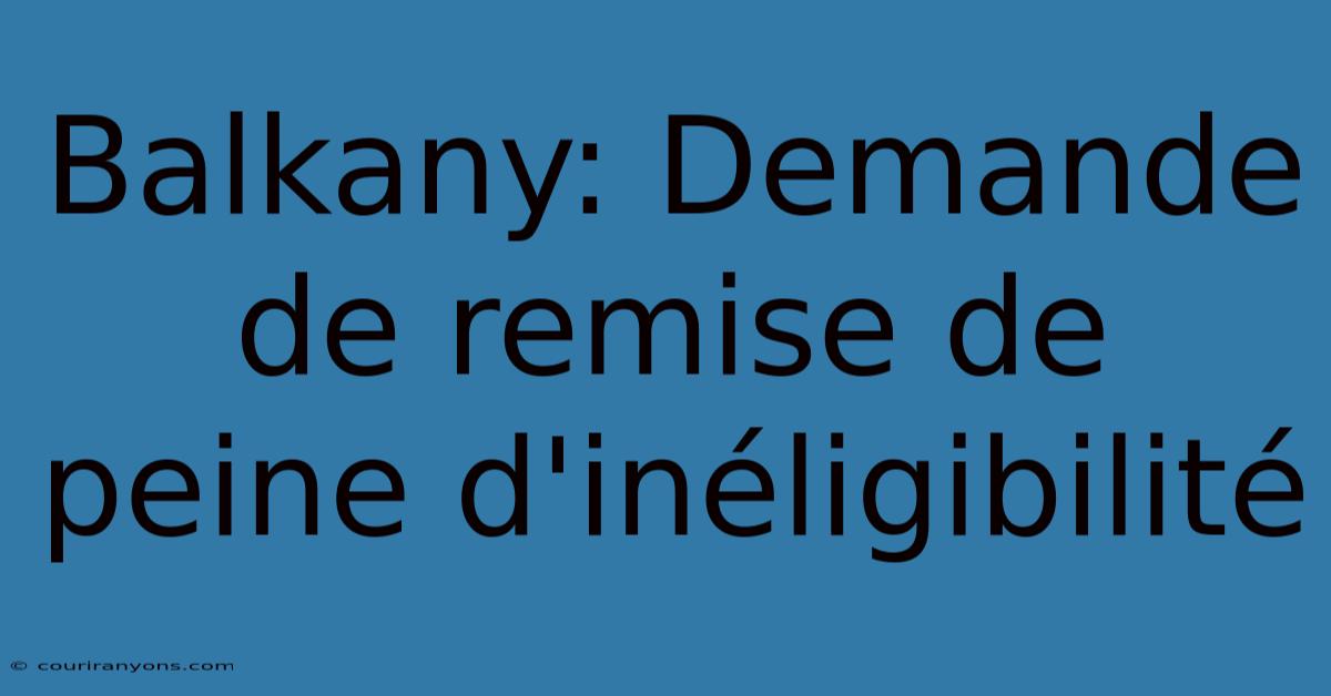 Balkany: Demande De Remise De Peine D'inéligibilité