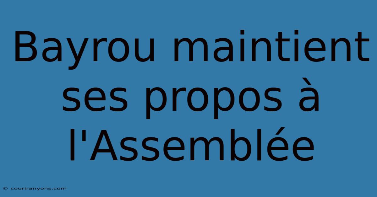 Bayrou Maintient Ses Propos À L'Assemblée