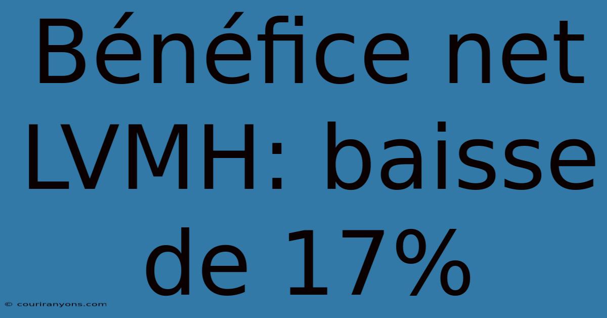 Bénéfice Net LVMH: Baisse De 17%