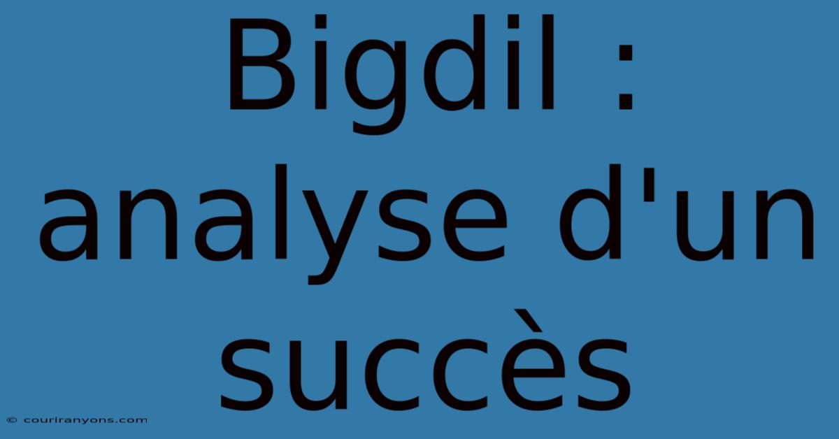 Bigdil : Analyse D'un Succès