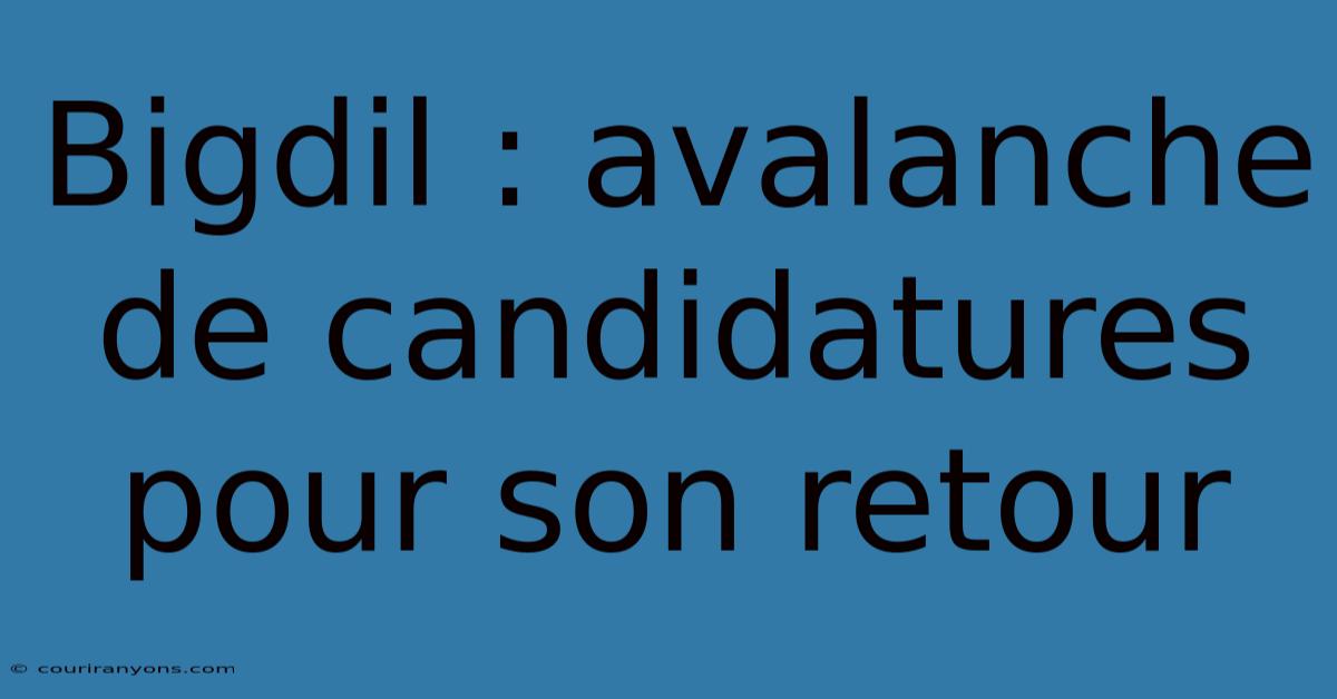 Bigdil : Avalanche De Candidatures Pour Son Retour