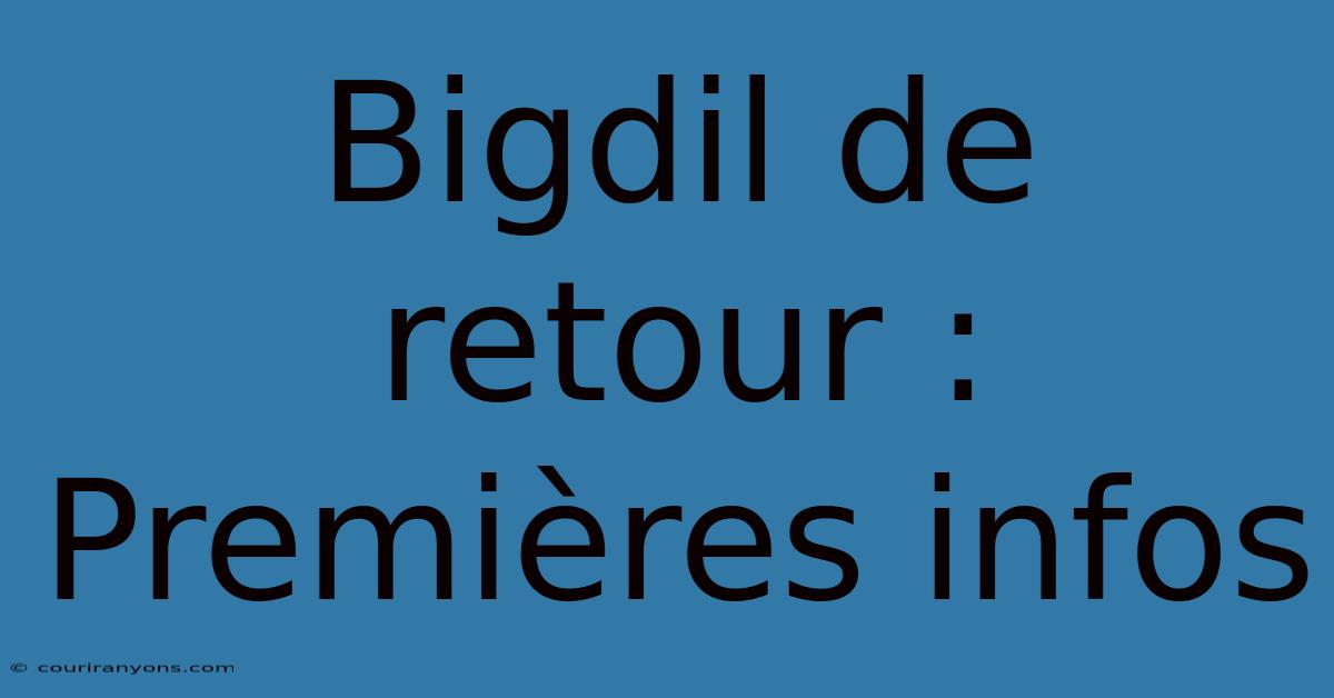 Bigdil De Retour : Premières Infos