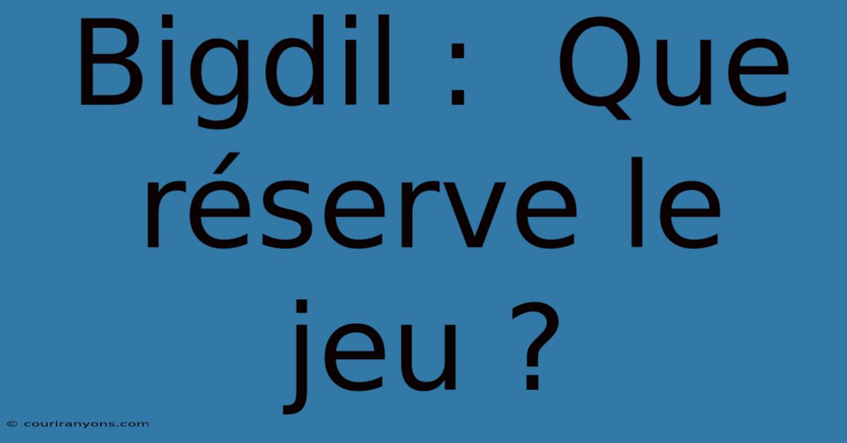 Bigdil :  Que Réserve Le Jeu ?