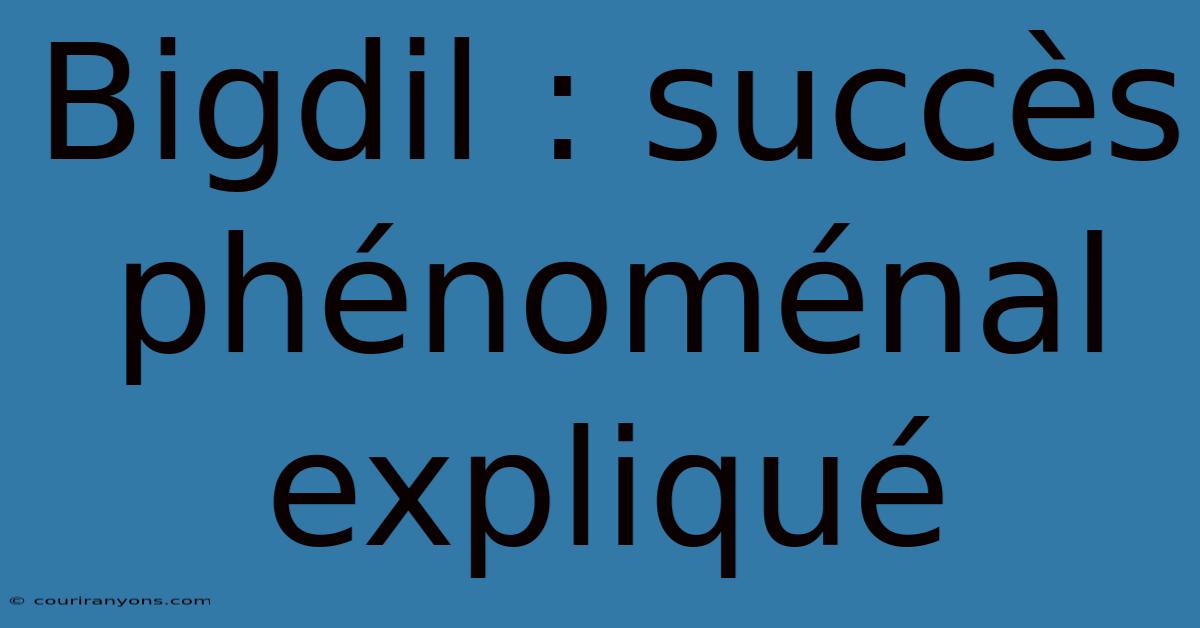 Bigdil : Succès Phénoménal Expliqué