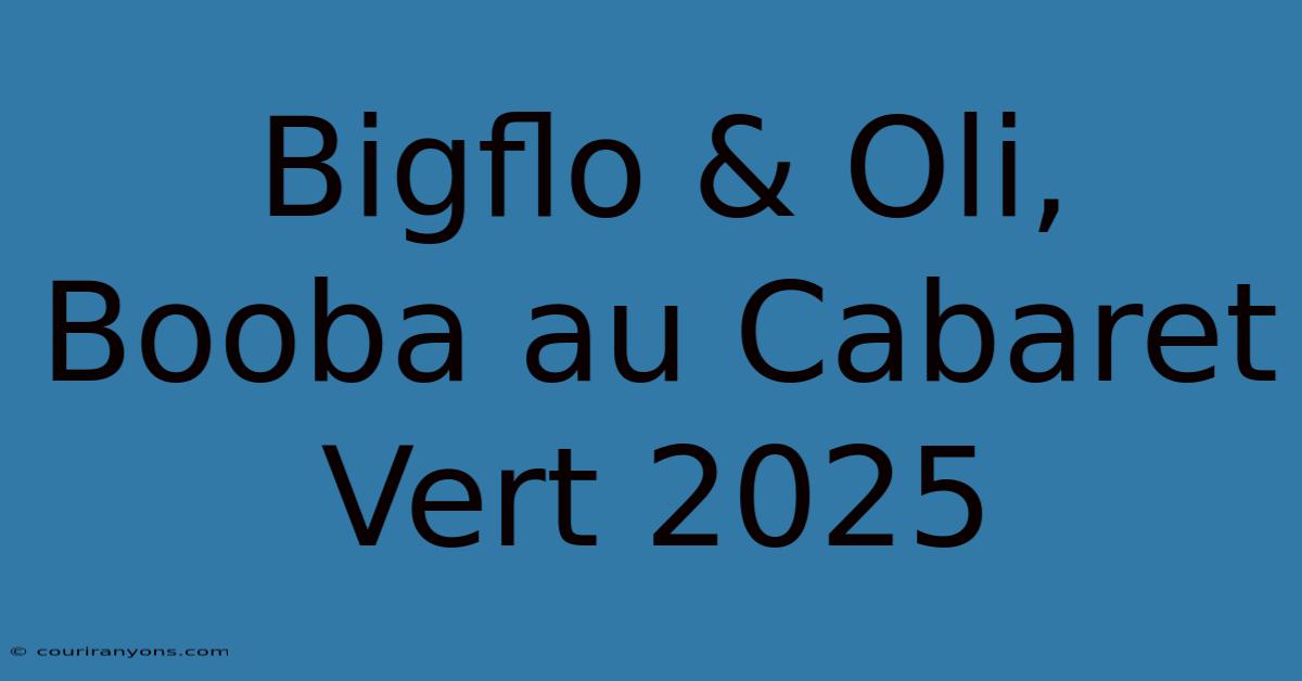 Bigflo & Oli, Booba Au Cabaret Vert 2025