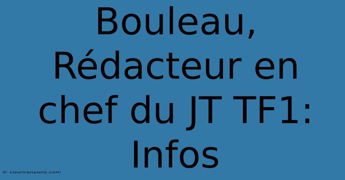 Bouleau, Rédacteur En Chef Du JT TF1: Infos