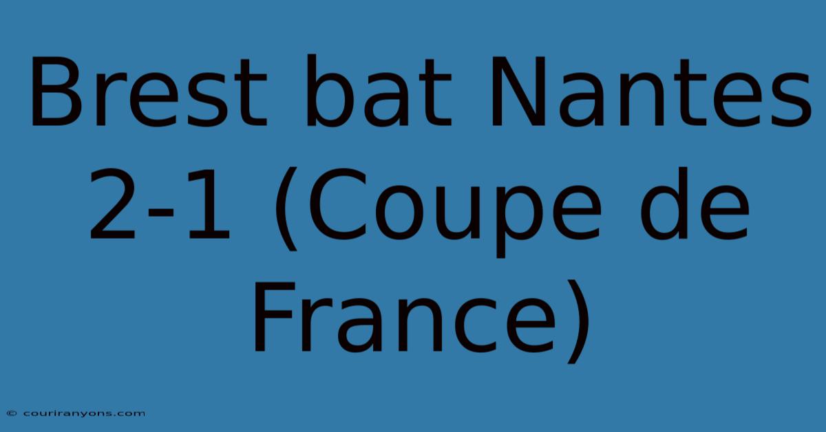 Brest Bat Nantes 2-1 (Coupe De France)