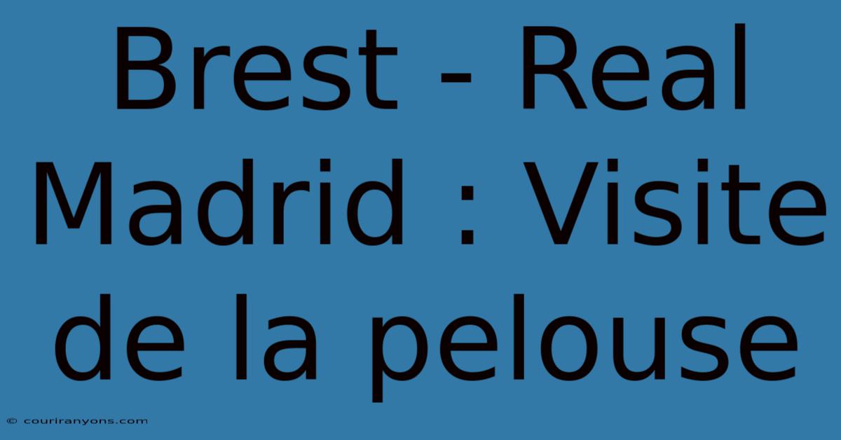 Brest - Real Madrid : Visite De La Pelouse