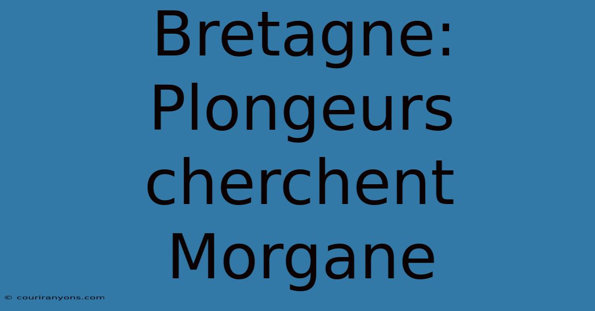 Bretagne: Plongeurs Cherchent Morgane