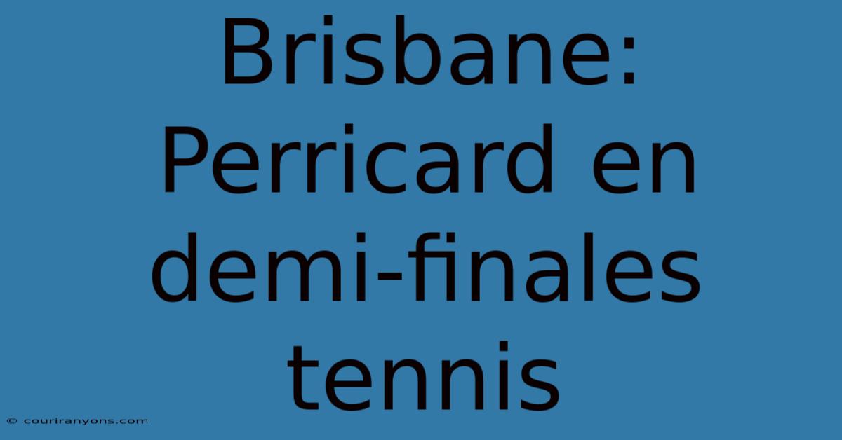 Brisbane: Perricard En Demi-finales Tennis