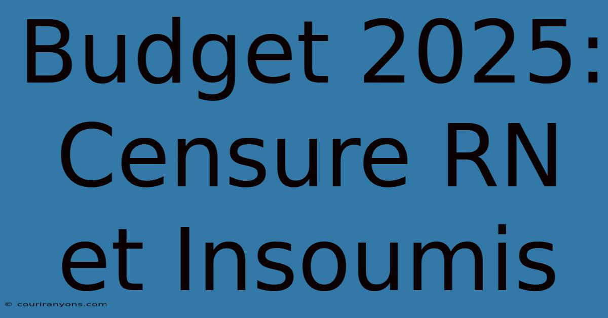 Budget 2025: Censure RN Et Insoumis