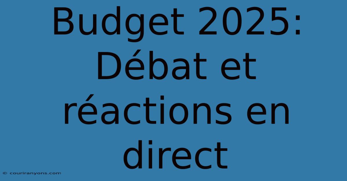 Budget 2025: Débat Et Réactions En Direct