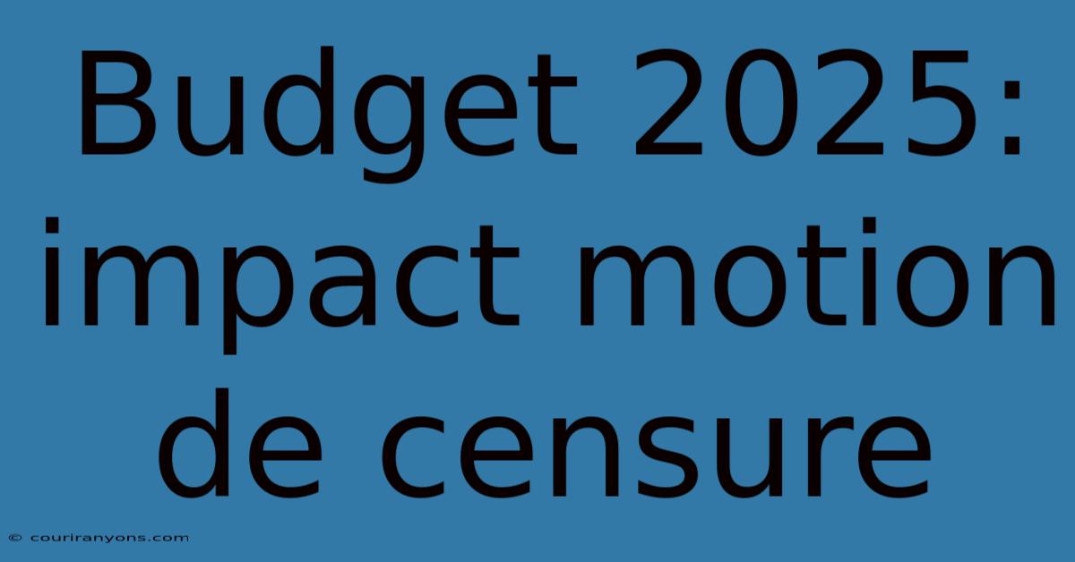 Budget 2025: Impact Motion De Censure